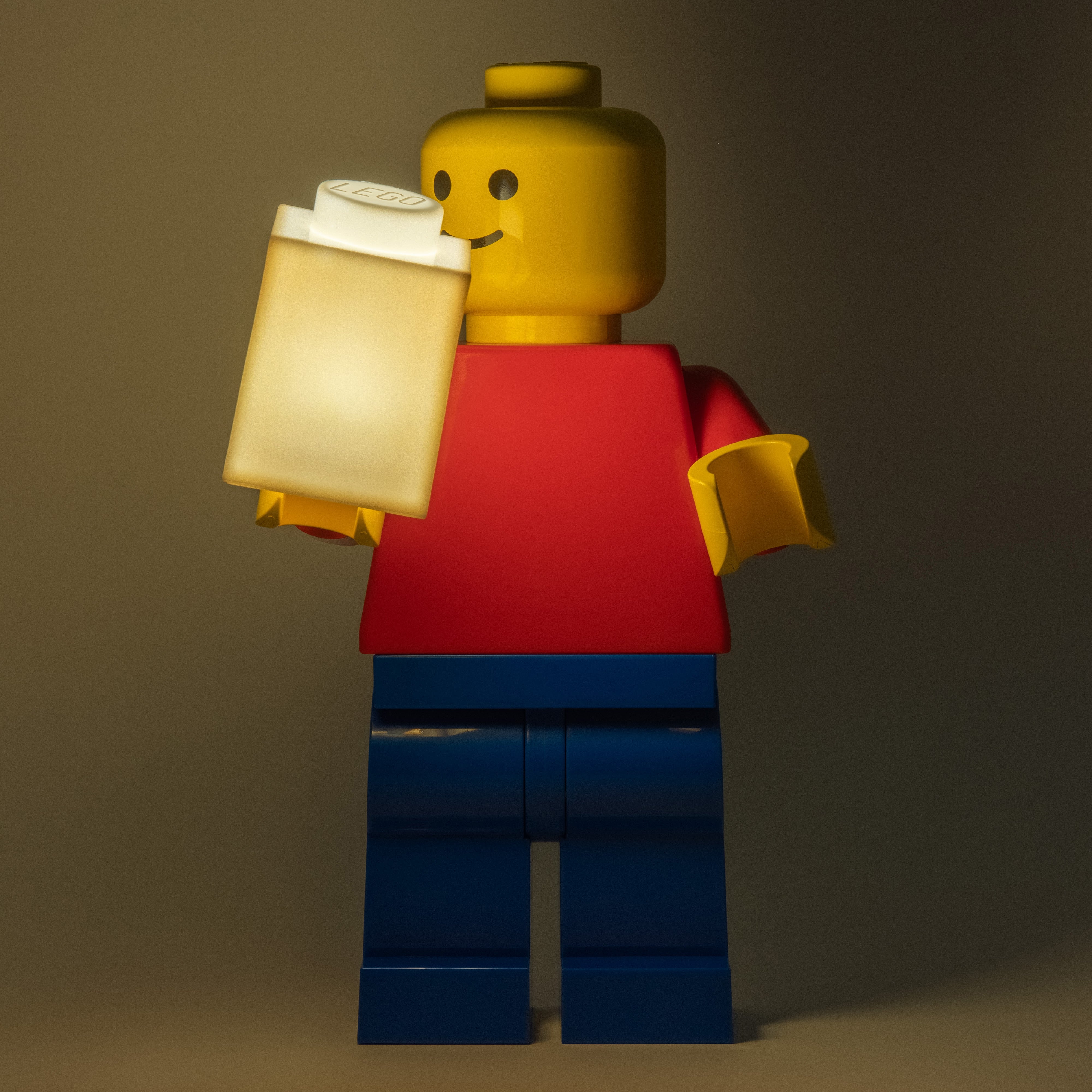 LEGO Bob Posable Light